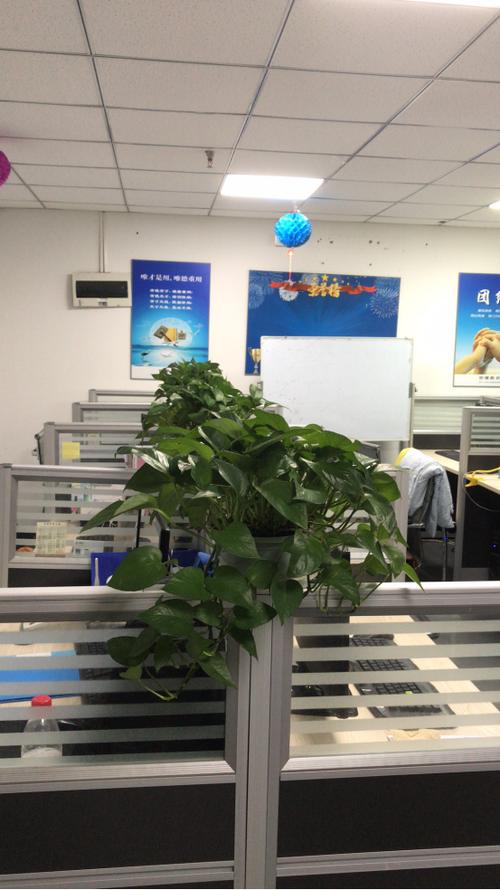 企业形象策划;市场营销策划;日用百货,办公设备,教学设备,计算机软